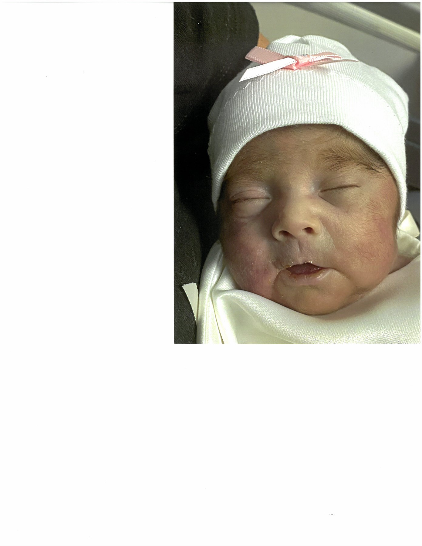 Obituary of Natalia Alejandra Loera