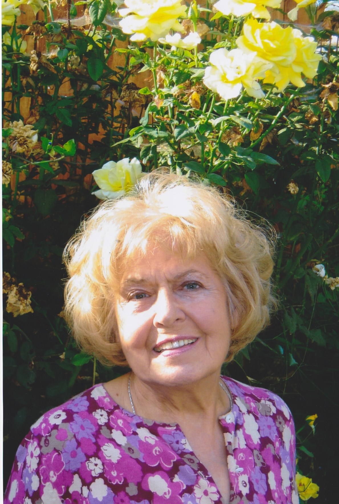 Obituary of Johanna Levy