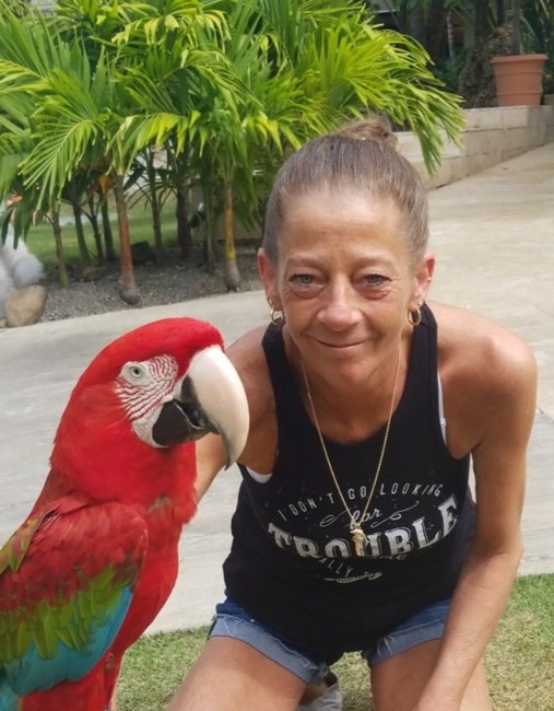 Obituary of Donna Lynn Boike