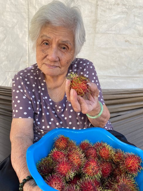 Obituary of Kim Thi Lu