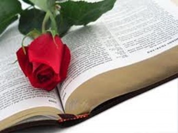 Obituary of Virginia Doles