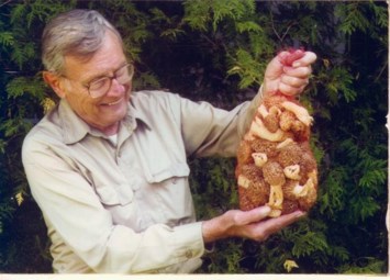 Obituary of David L. Spitzer