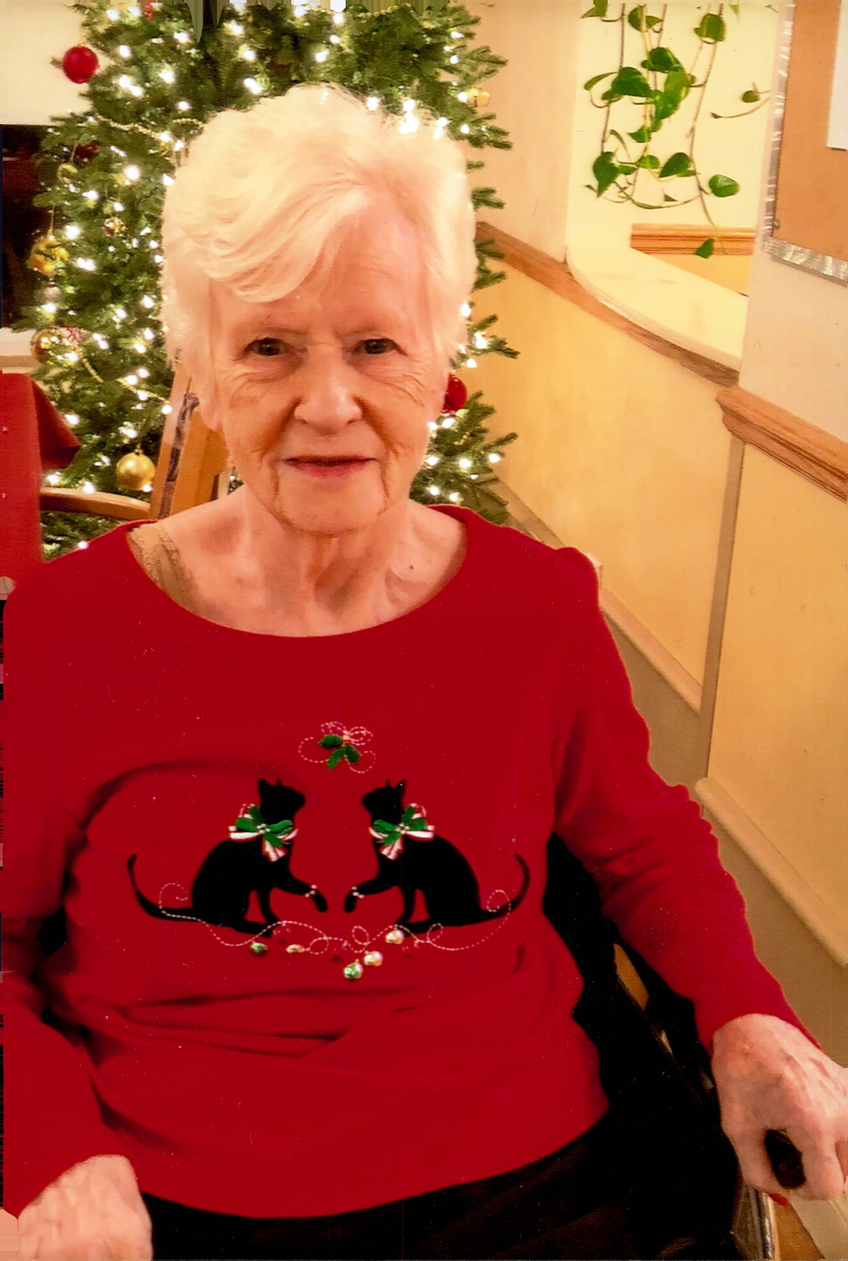 Obituary of Doreen Annie Kyle