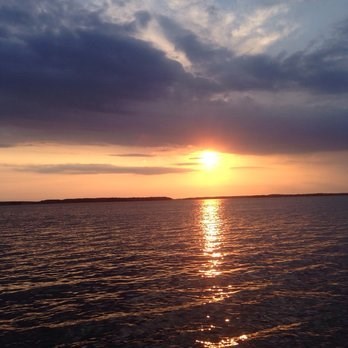 Obituary of Deborah Anne Whistler