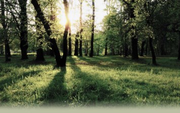 Obituary of James Eugene Coners