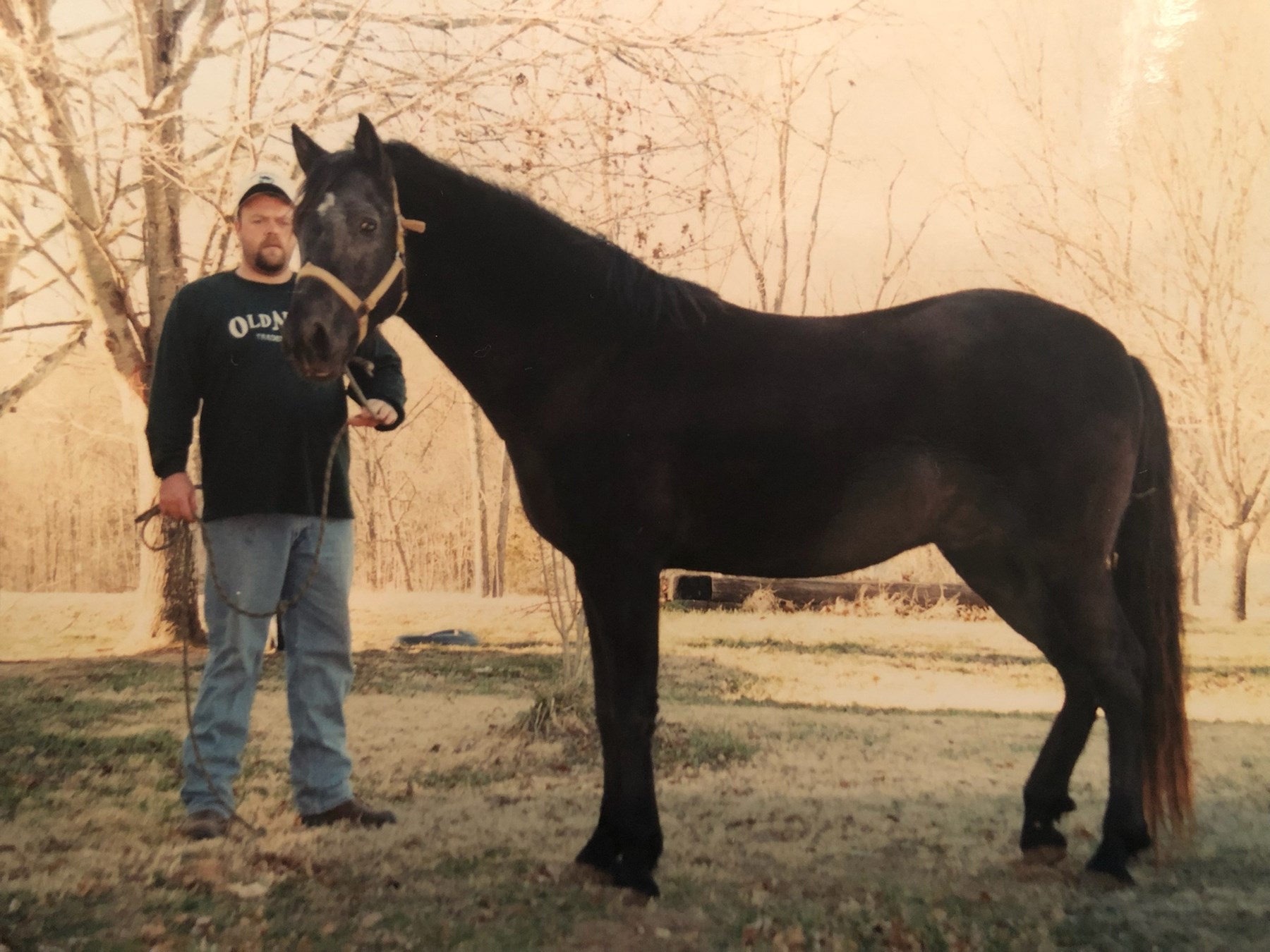 Obituary of Travis Dean Whorton