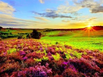 Obituary of James Cook