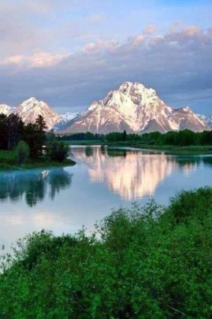 Obituary of Bruno Theodore "TED" GUELDENSTERN