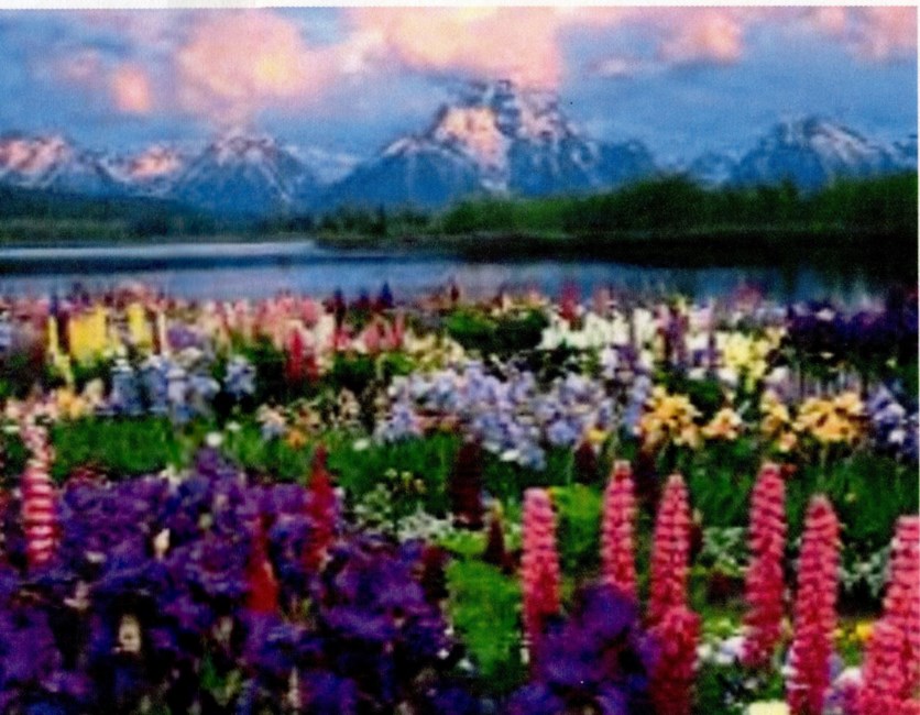 Obituary of Cynthia Dawn Marshall