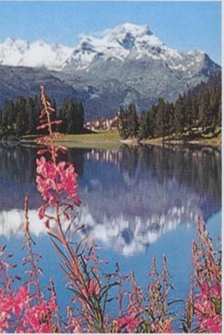 Obituary of Romelia Alejandre