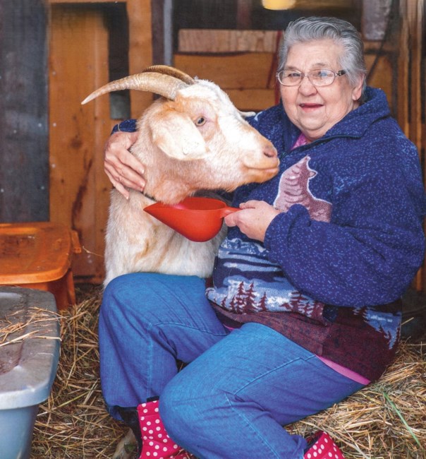 Obituary of Cecile E. Fink