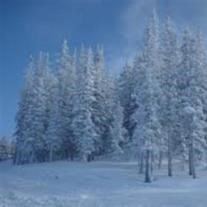 Obituary of Socorro Hinojos Reyes