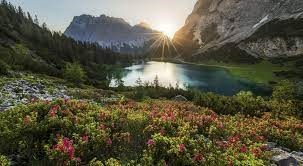 Obituary of Guadalupe Maria Mendez