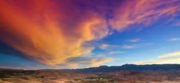 Obituary of Darlene E. Zeh