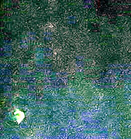 Shrell Lusk Obituary - Fort Worth, TX