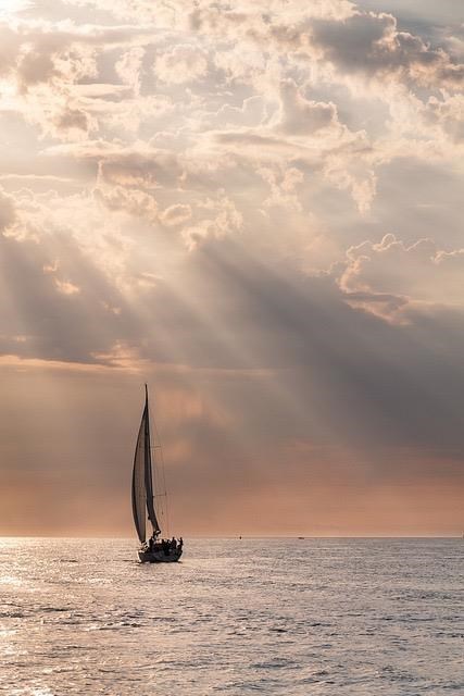 Obituary of Paul Theodore Shoenfield