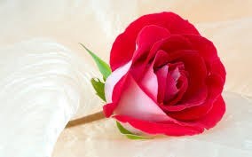 Obituary of James "Jimmy" Dean Waters