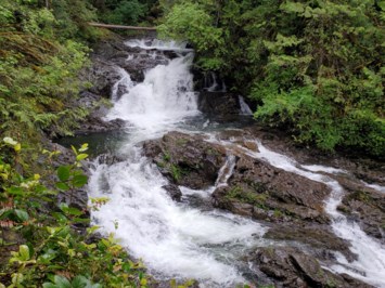 Obituary of Gordon Emerson Scott