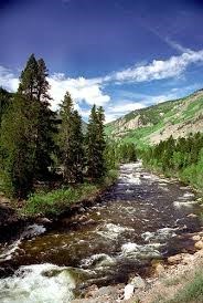 Obituary of David Anthony DeMarco