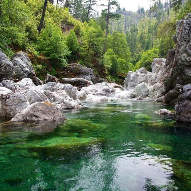 Obituary of Timothy James Branaman