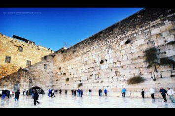 Obituary of Jay Libman