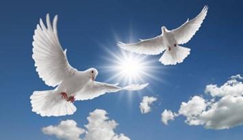 Obituary of Reynold Barker