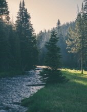 Obituary of Darin Keith McNett