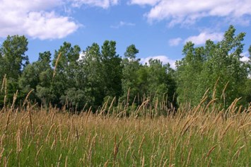 Obituary of Gerald Anthony McGreevy