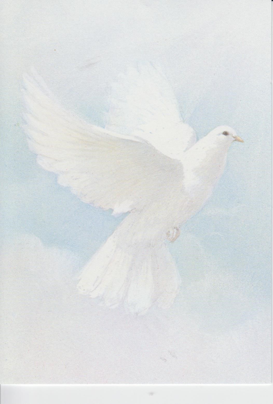 Obituary of Rafael Perez Cepeda