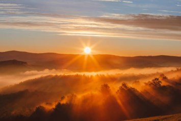 Obituary of Claudette Constance Champagne