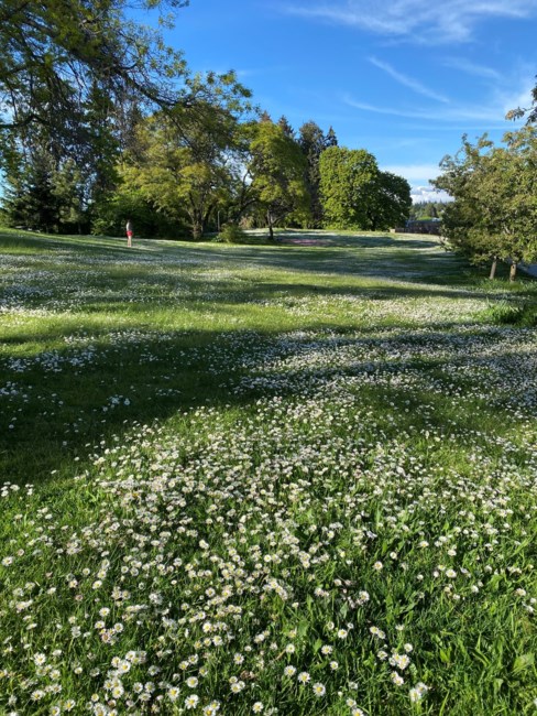 Obituario de Frances B Michels