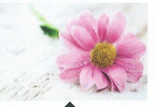 Obituary of Jo Ann Peacock Benton