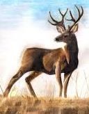 Obituary of James C Vincent