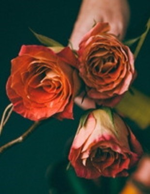 Obituary of Annette Suzanne Jenkins
