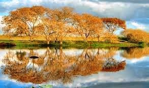 Obituary of Valerie T Lewko Walendziak