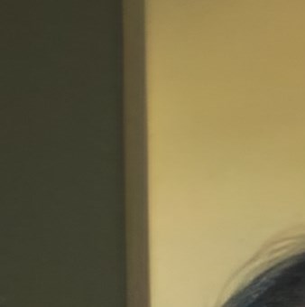 Lisa Temple Obituary - Memphis, TN