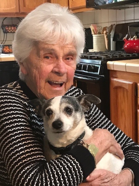Obituary of Anna Marie Tornincasa