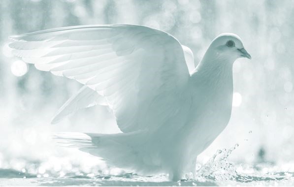 Obituary of Fernando Garza Ramirez