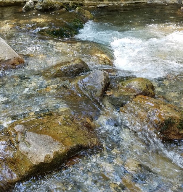 Obituario de Dae Kyu Kim