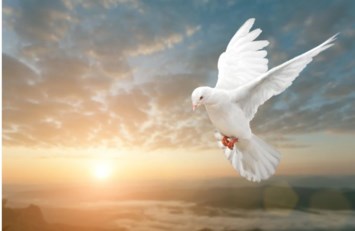 Obituary of Samantha Baaba Minta