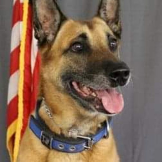 Obituary of K-9 Bo