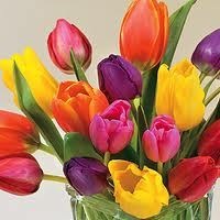 Obituario de Dolores L Stephens