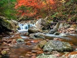 Obituary of Ruth Agnes Wood