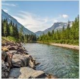 Obituary of Theodore Lee Novak