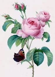 Obituary of Hilda R Fernandez