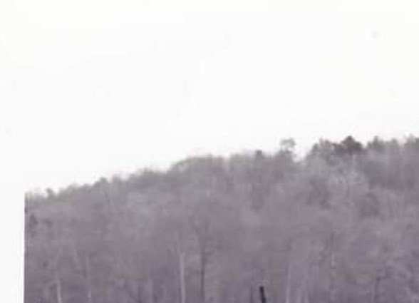 William Nash Obituary - Sylacauga, AL