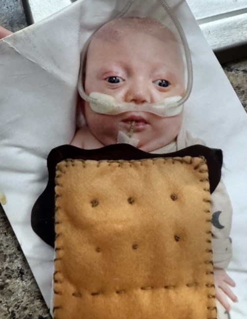 Avis de décès de Memphis David Adams