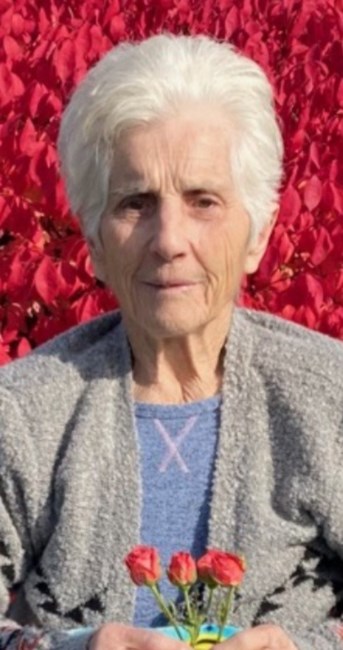 Obituary of Maria P. Bosco