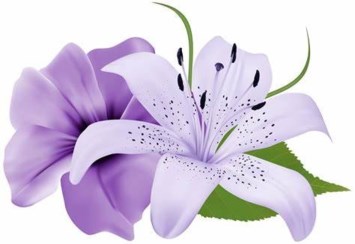Obituary of Andrew Valle