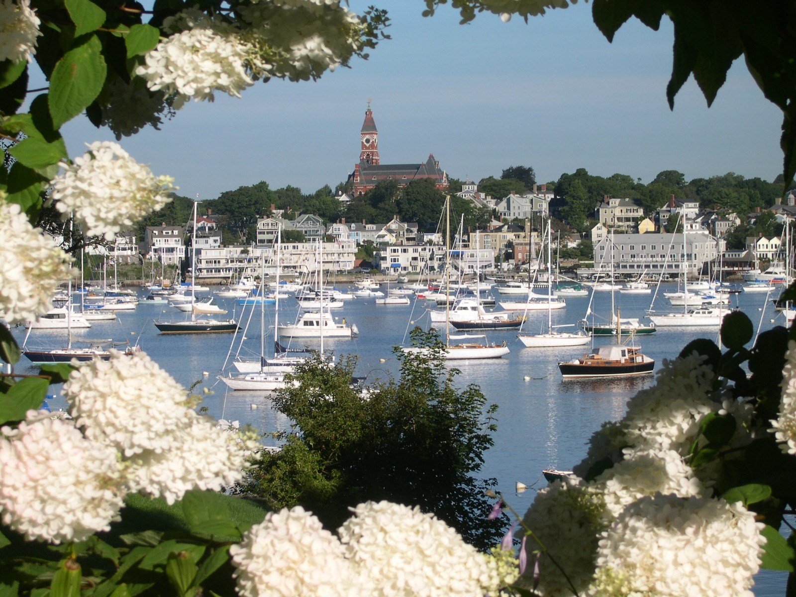 lafayette nursing home marblehead ma